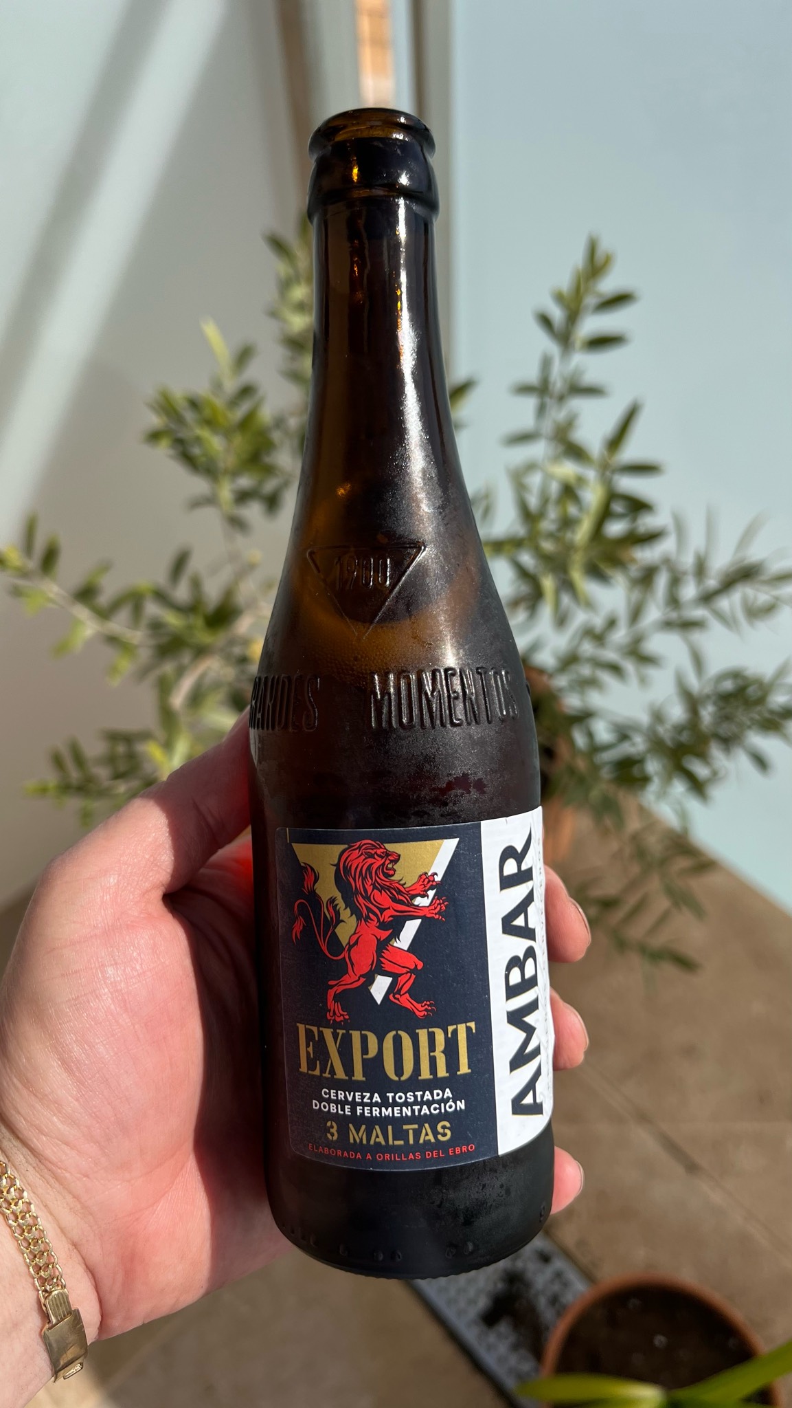 Ambar Export, La Zaragozana