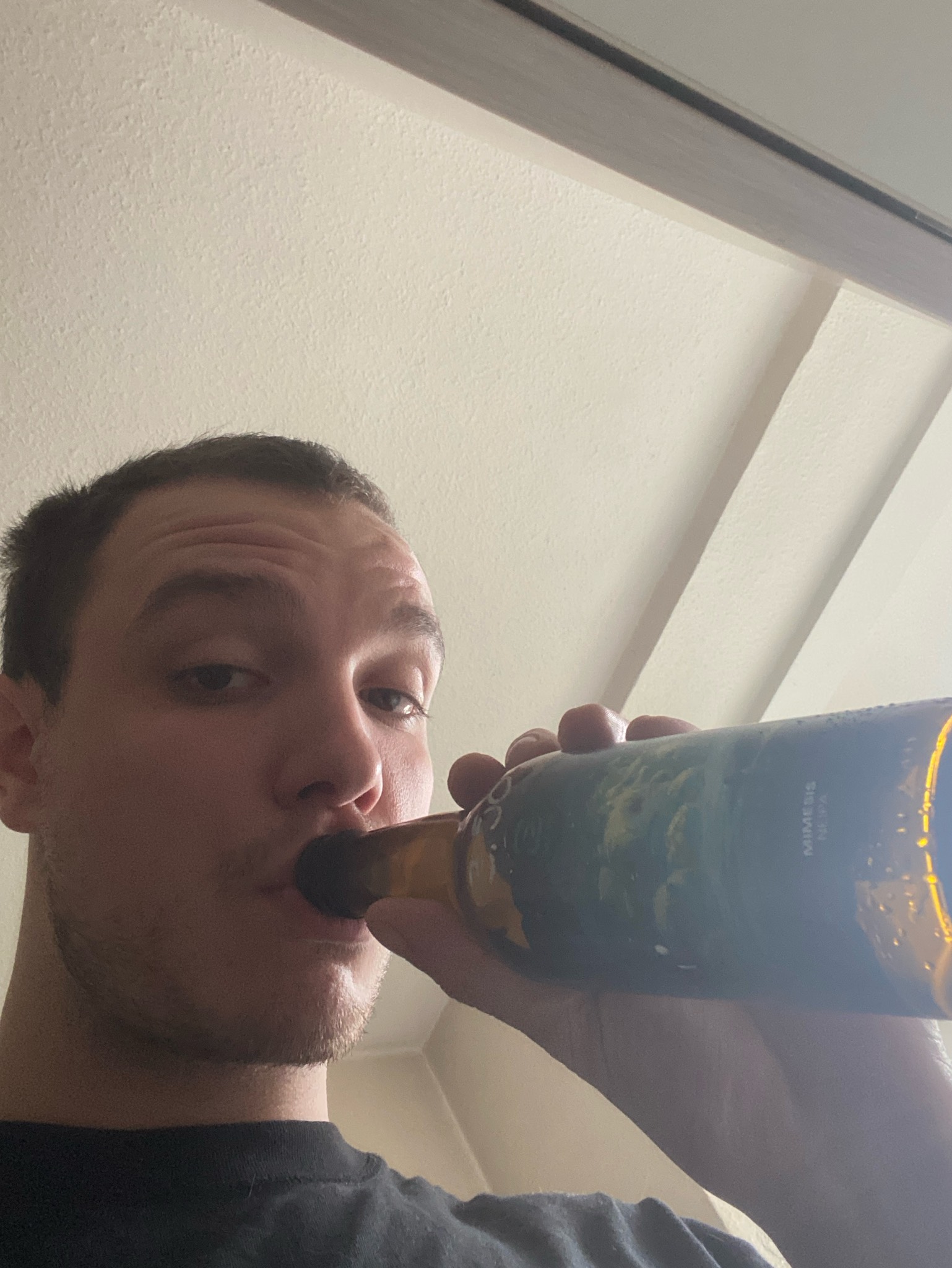 Mimesis, Brasserie 3 Mâts - Onirique