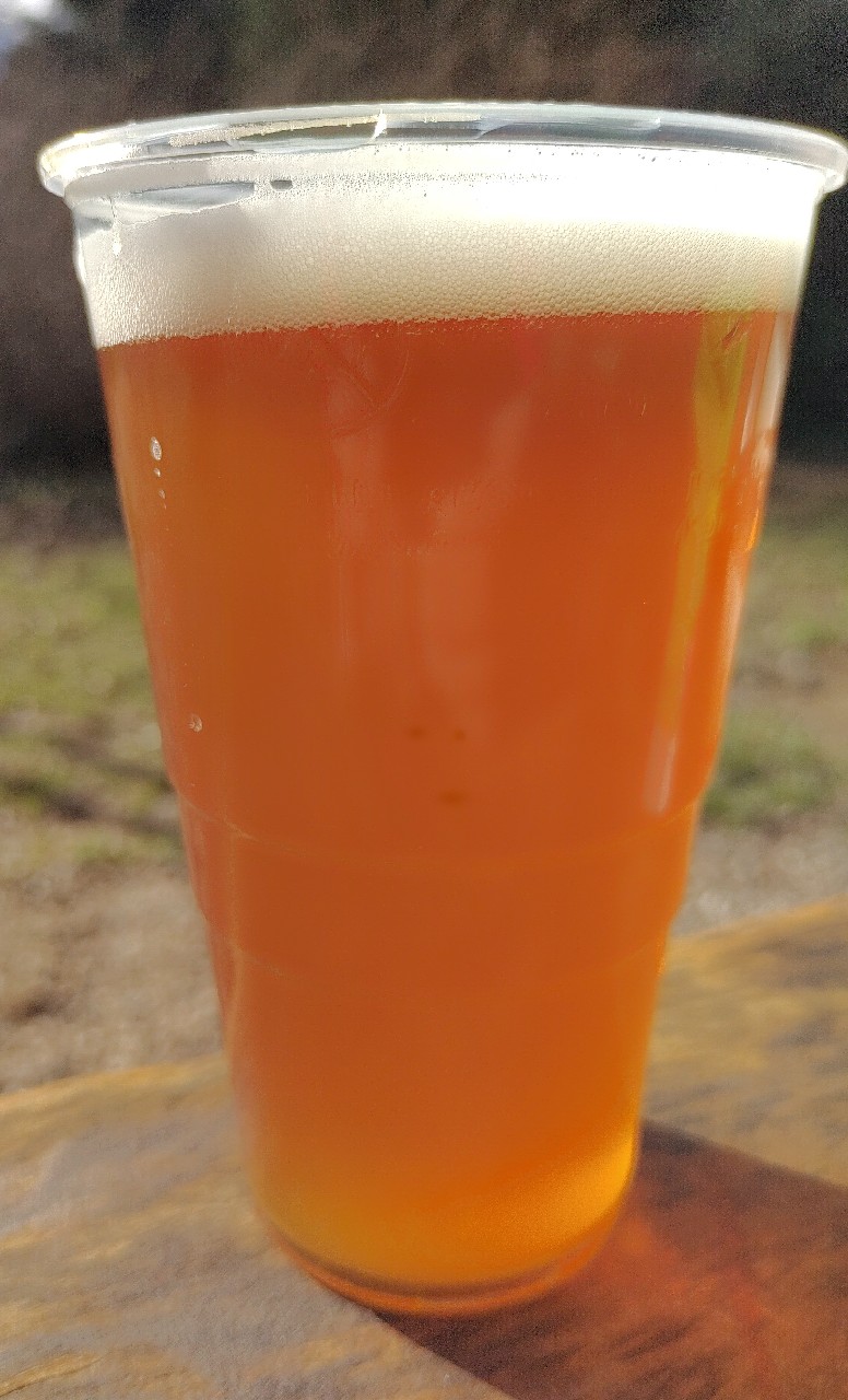 Hauskrecht Brněnská 11, Brněnská Pivovarnická Společnost