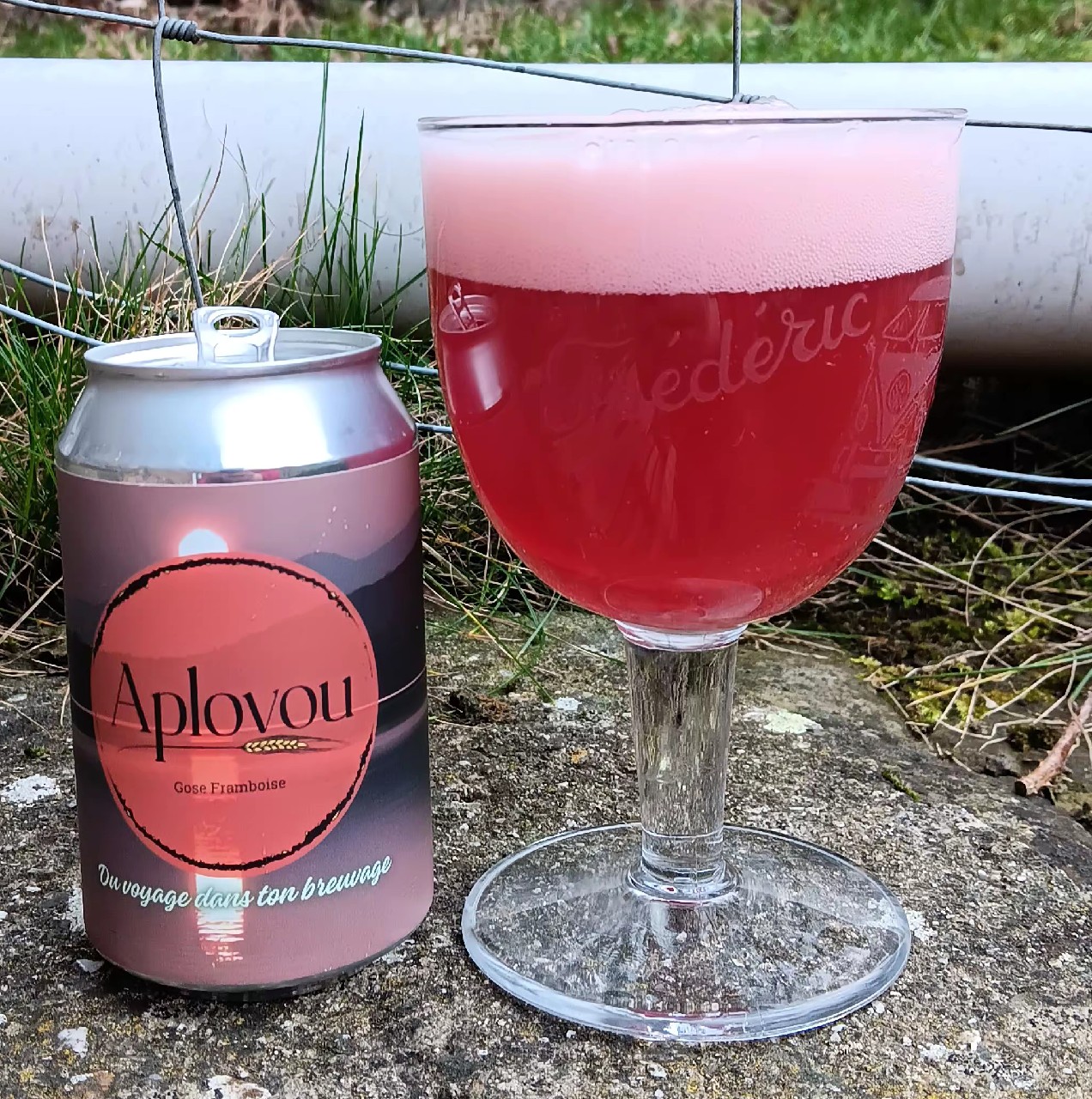 Aplv #3 Gose Framboise, Aplovou