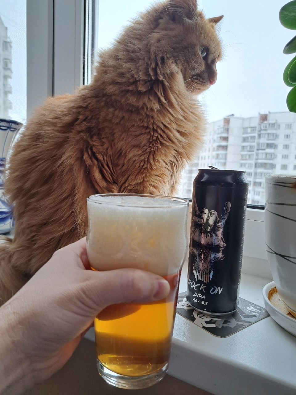 Rock On, Selfmade Brewery