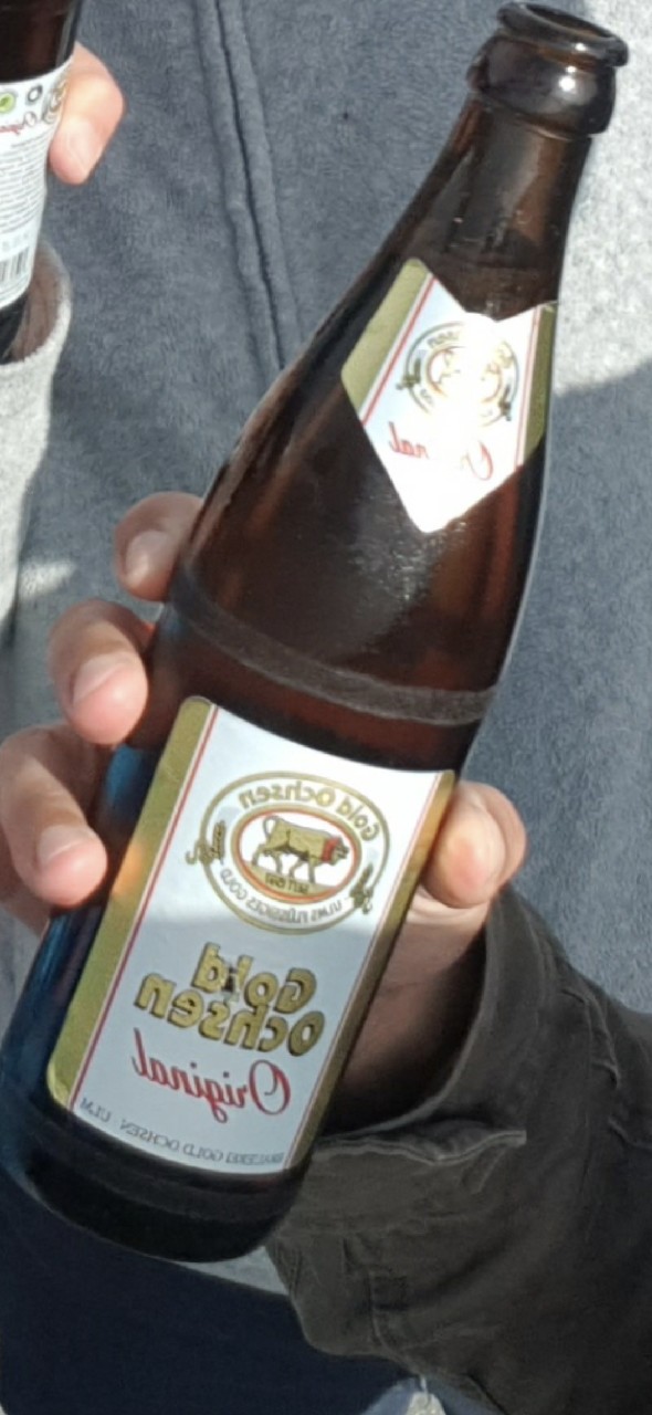 Gold Ochsen Original, Germany