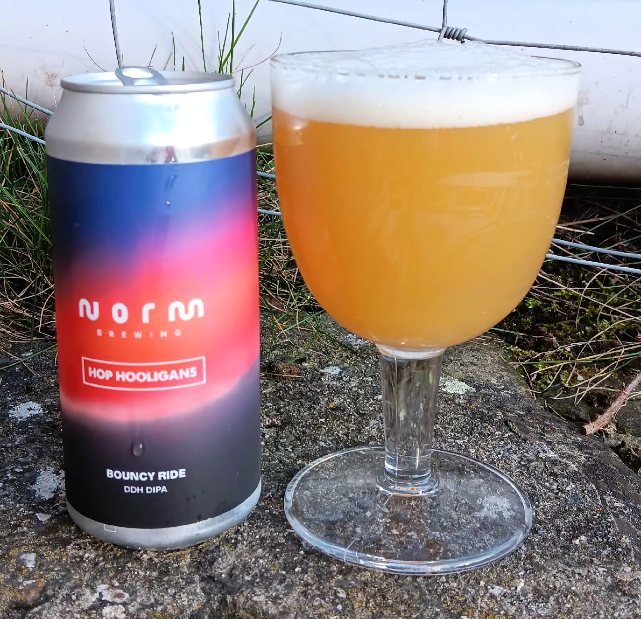 Bouncy Ride, Norm Brewing