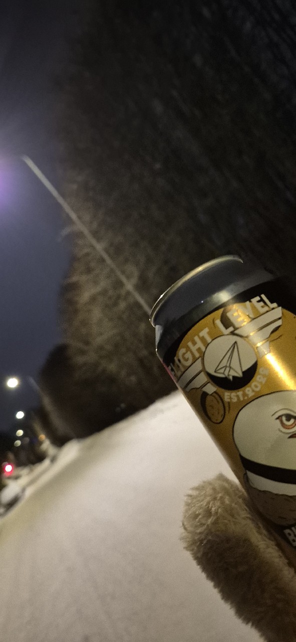 Bird Strike, Finland