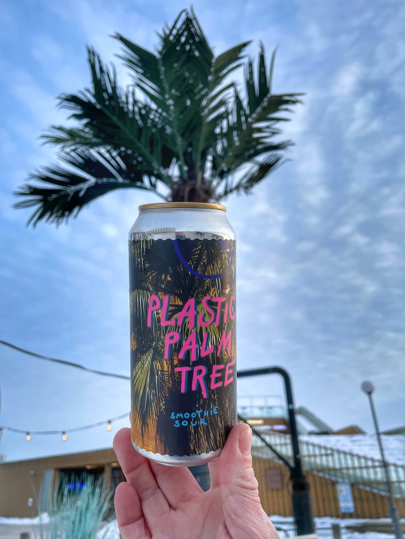 Plastic Palm Tree, Estonia