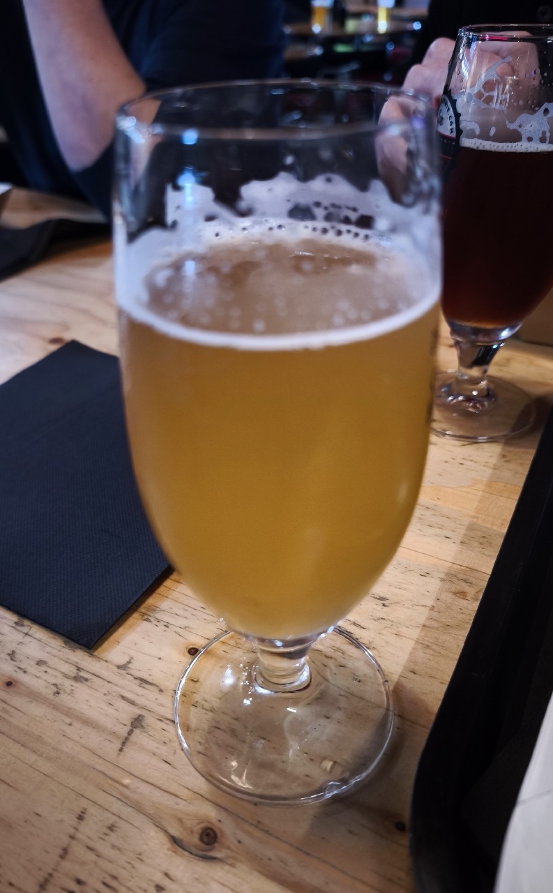 Steenbrugge Wit / Blanche, Belgium