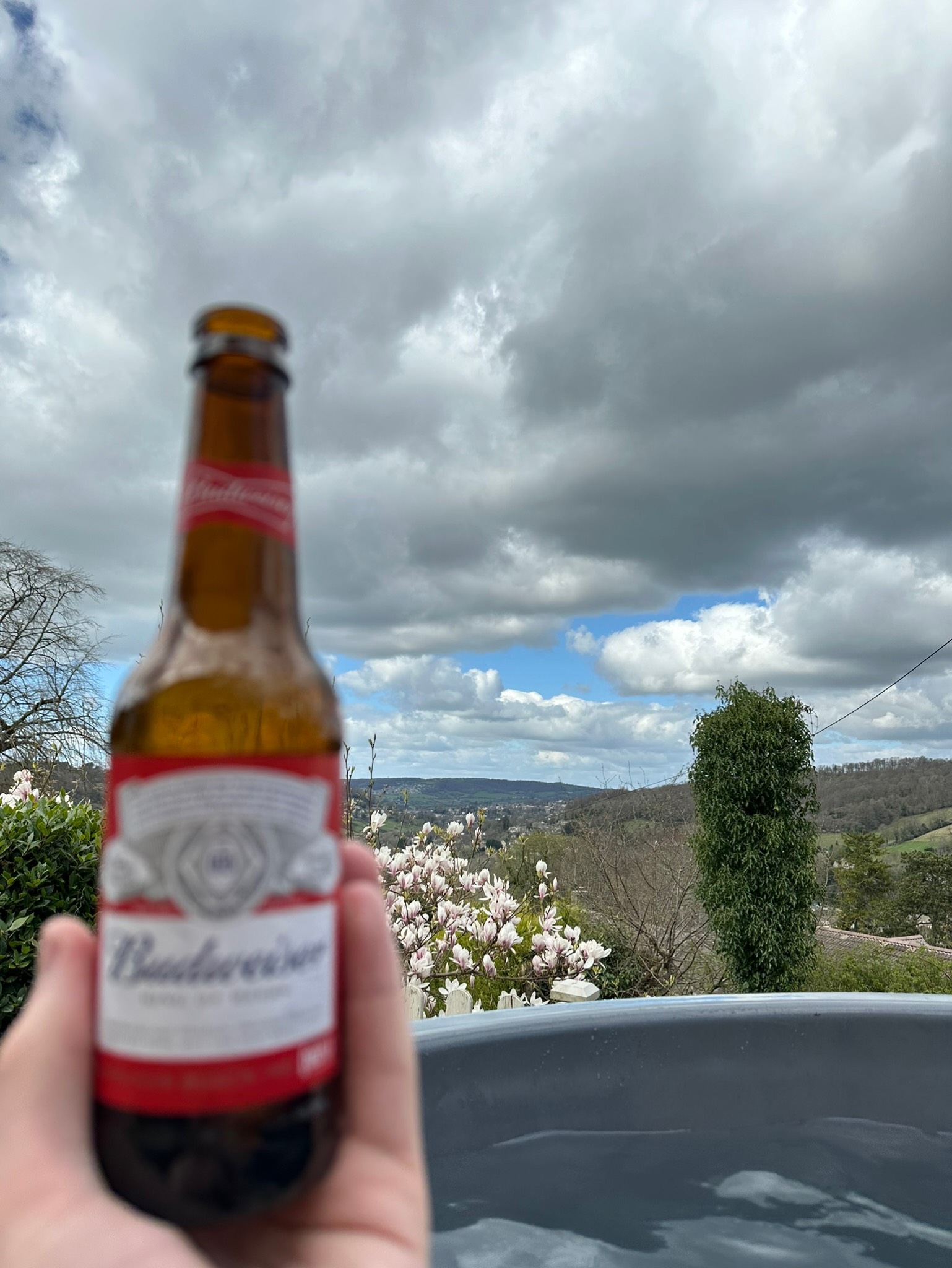 Budweiser / Bud, United States