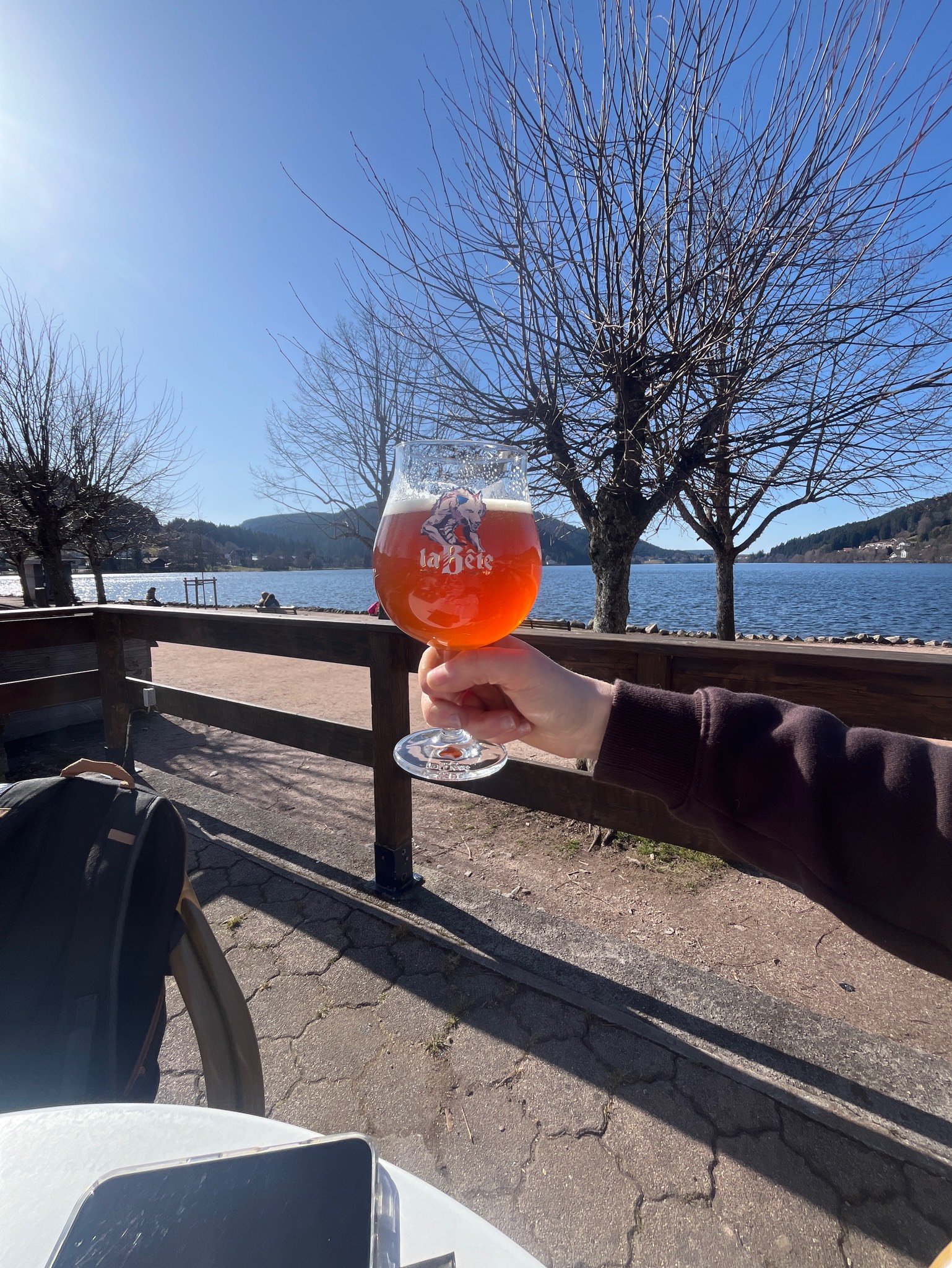 La Bête Des Vosges, Brasserie Meteor