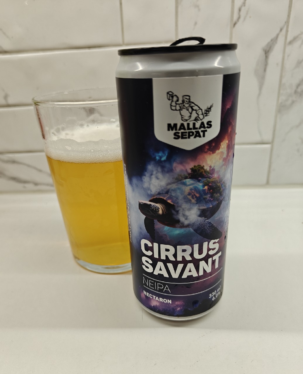 Cirrus Savant, Finland