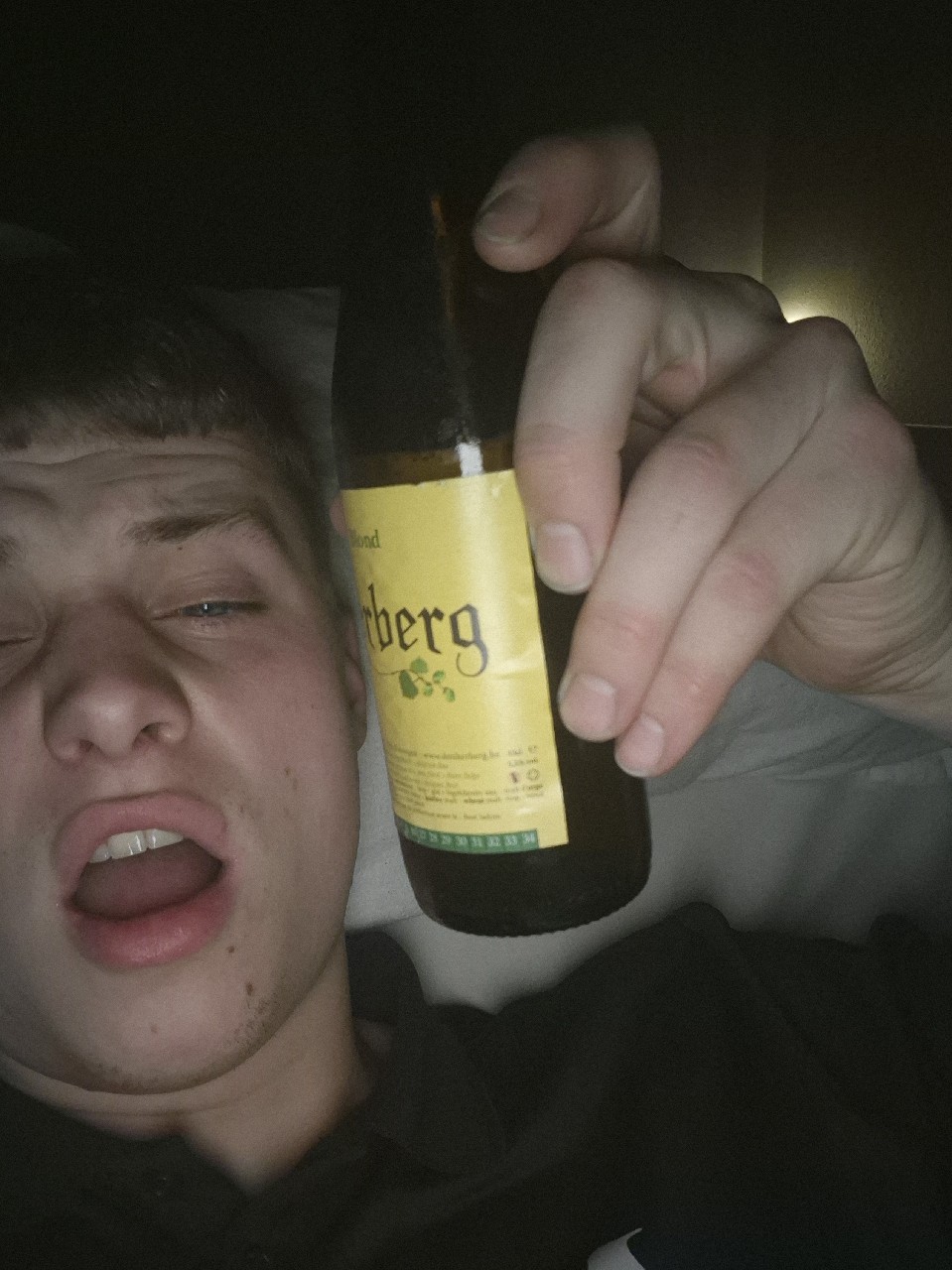 Herberg Blond, Den Herberg