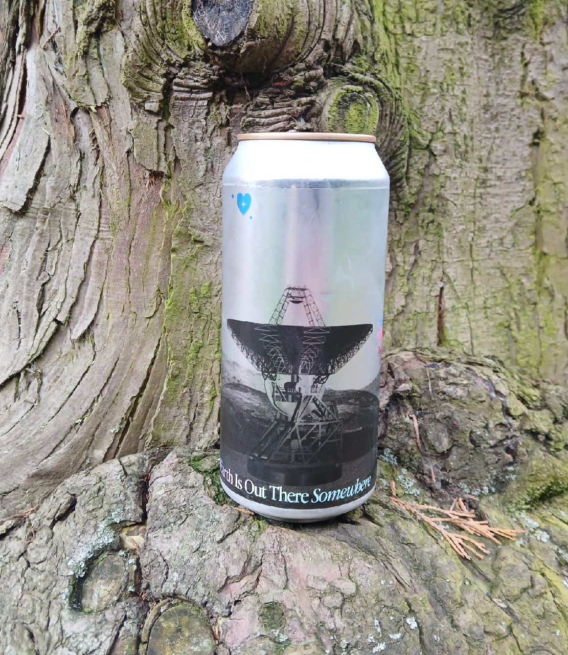 earth is out there somewhere, Elmeleven