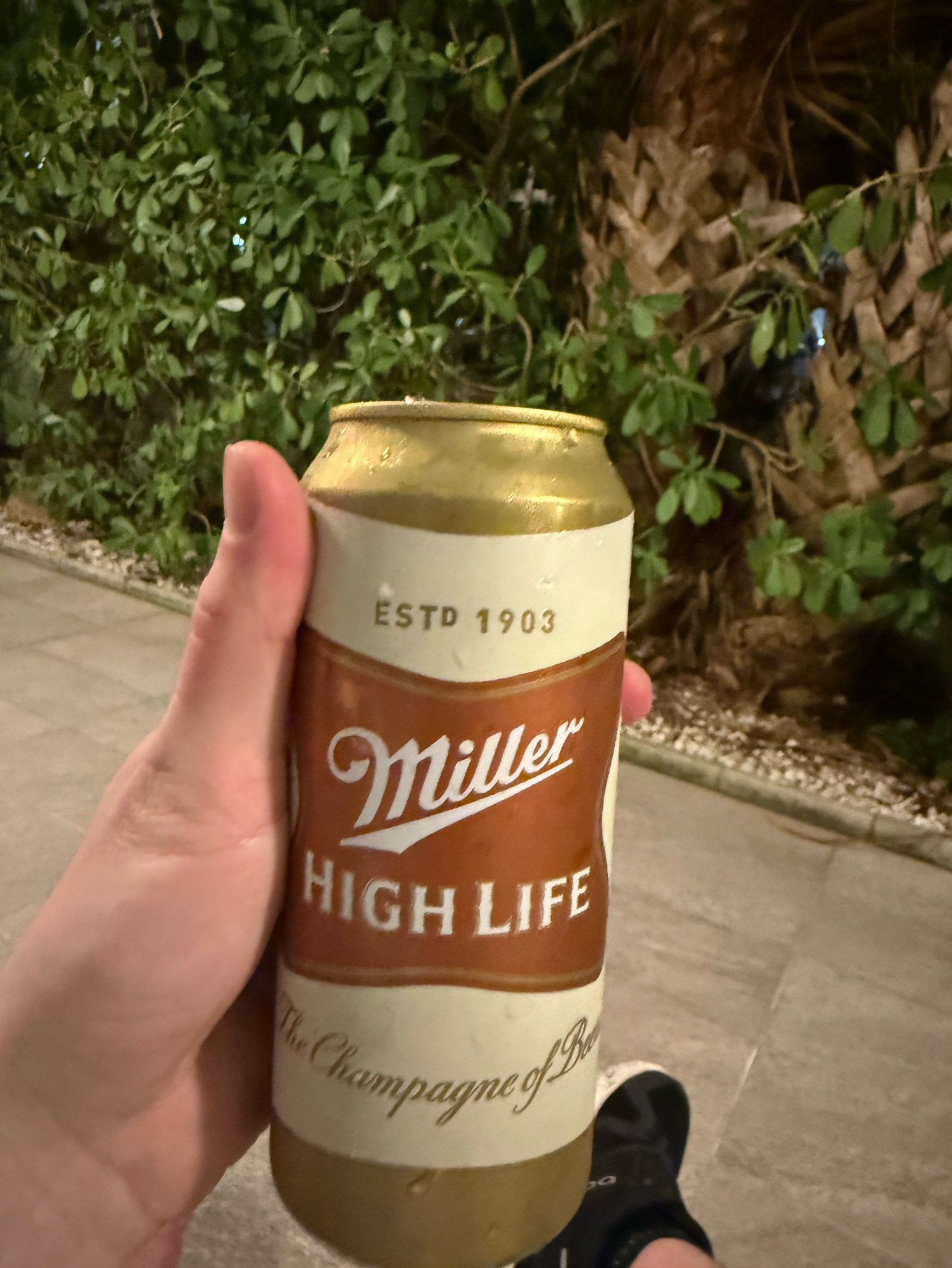 Miller High Life, Miller Brewing Company (MillerCoors)