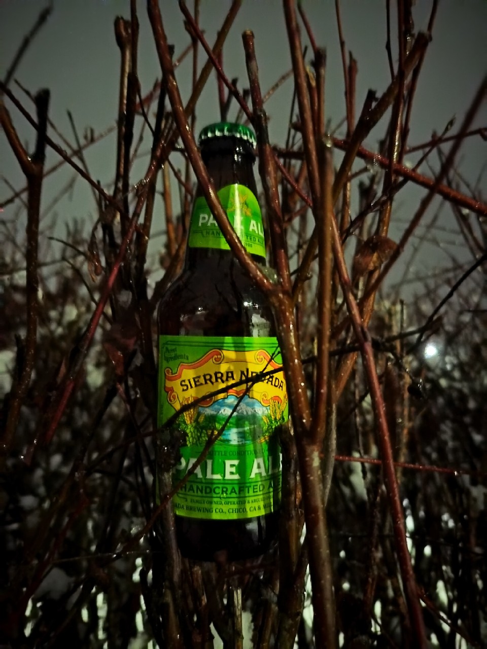 Sierra Nevada Pale Ale, United States