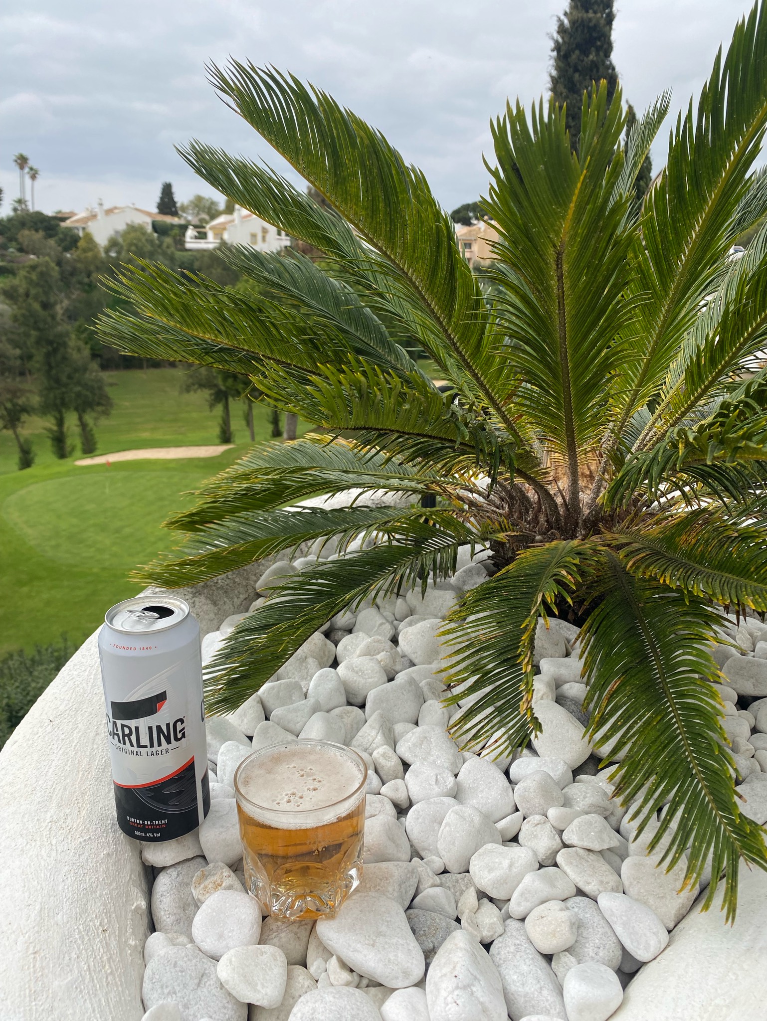 Carling, Molson Coors UK (MolsonCoors)