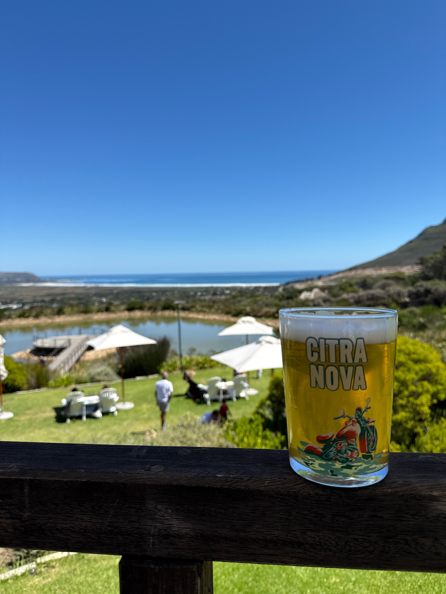 Citra Nova, Saggy Stone Brewing Co.