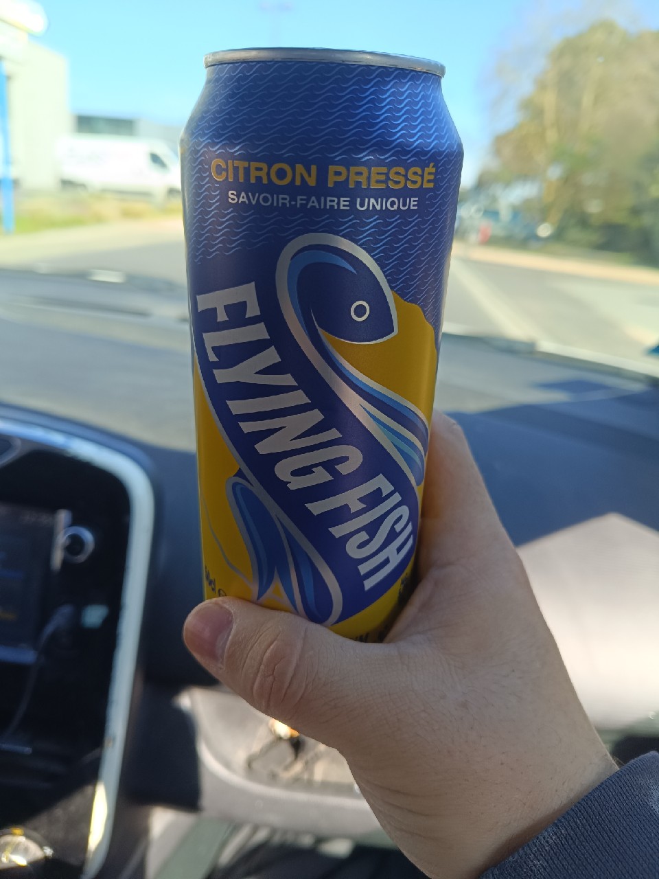 flying fish, South Africa