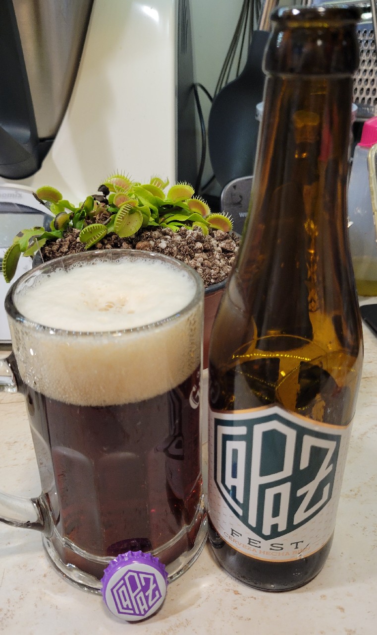 Capaz Fest, Fundación Apascovi