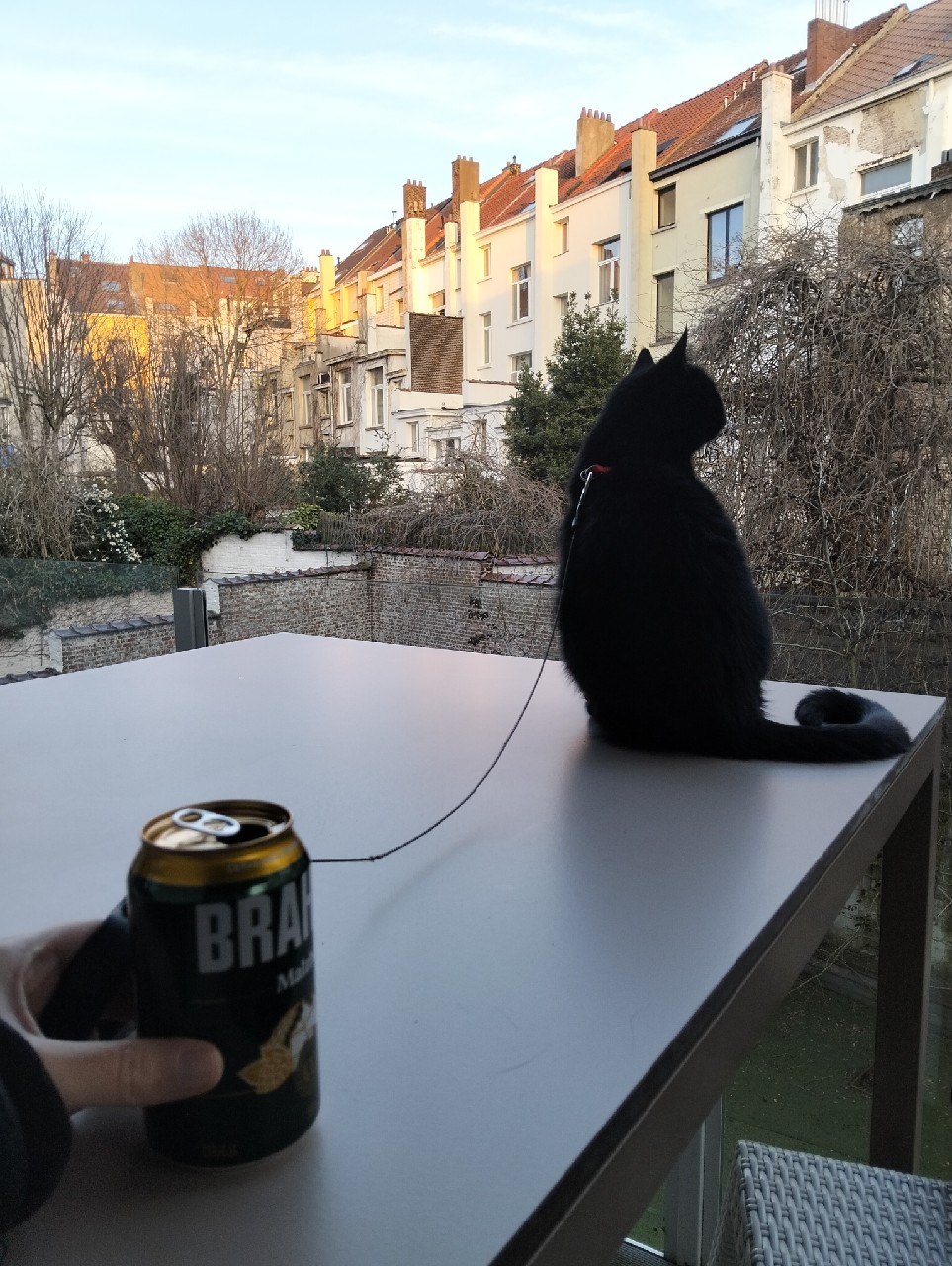 Brahma Malzbier, InBev Brasil