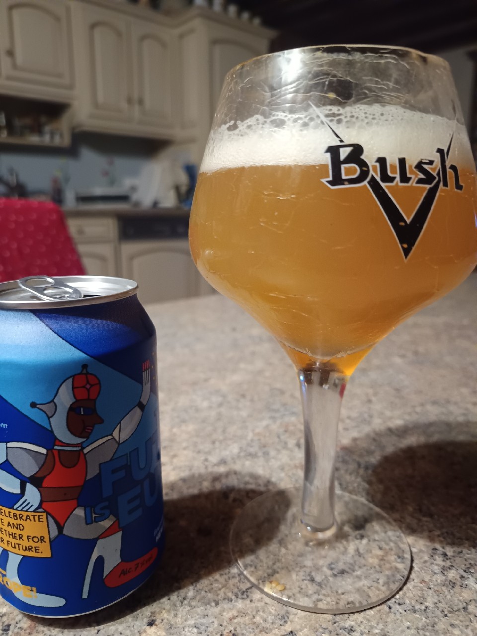 The Future Is Europe, Belgium