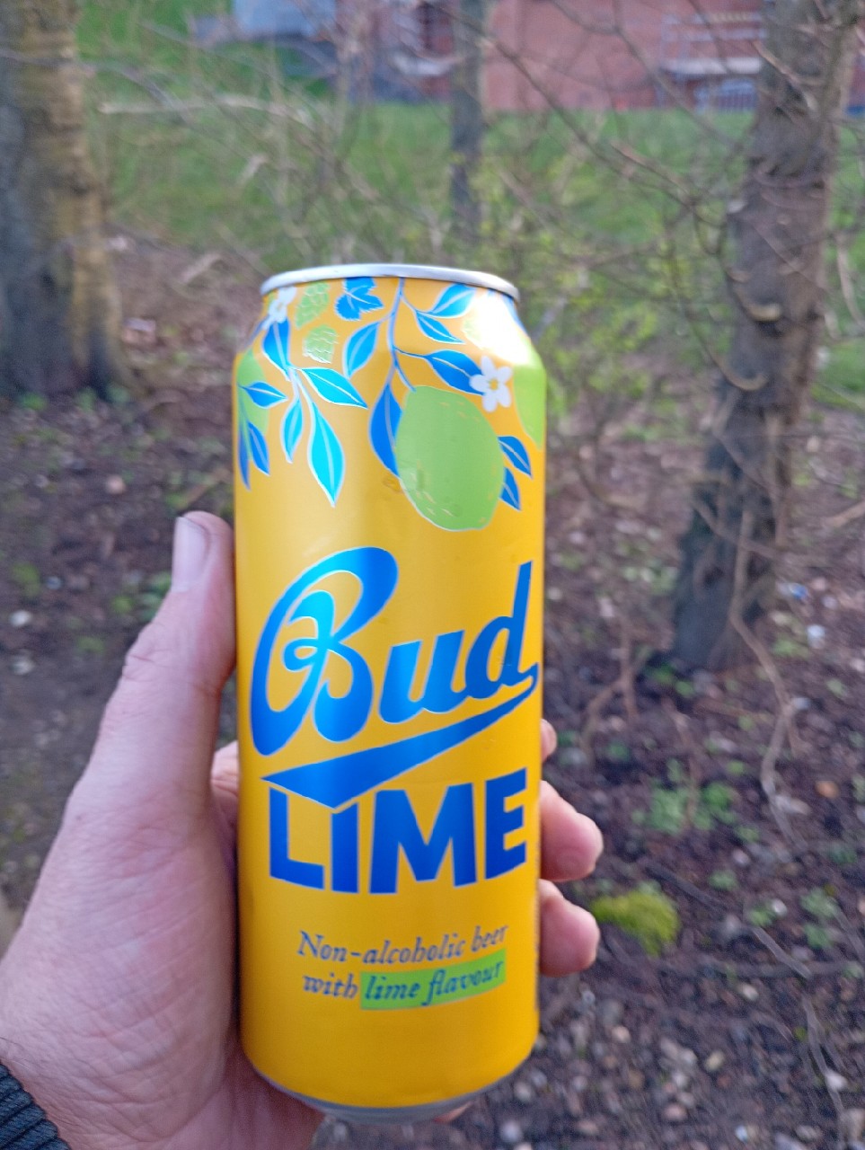 Bud Lime, United States