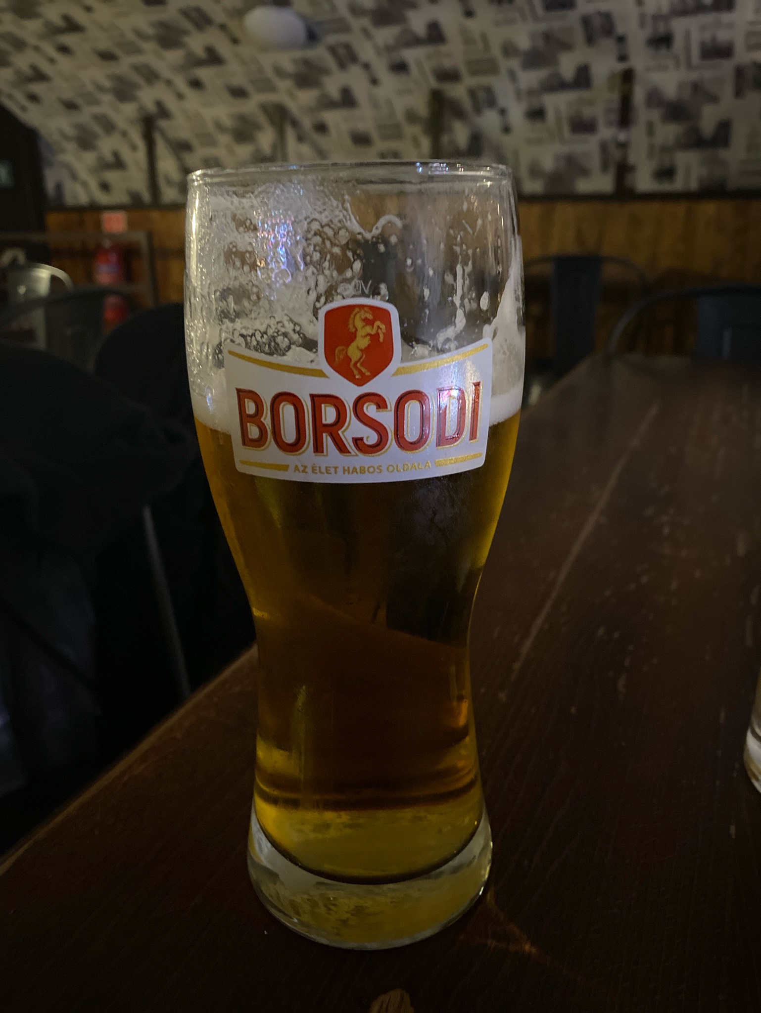 Borsodi, Borsodi Sörgyár Kft