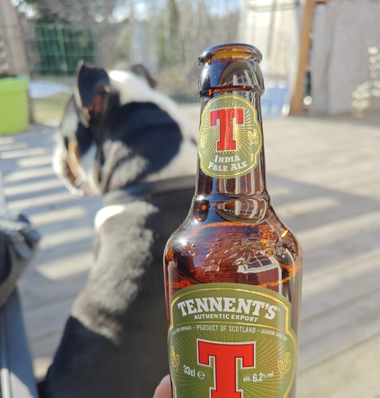 Tennent's India Pale Ale, Scotland