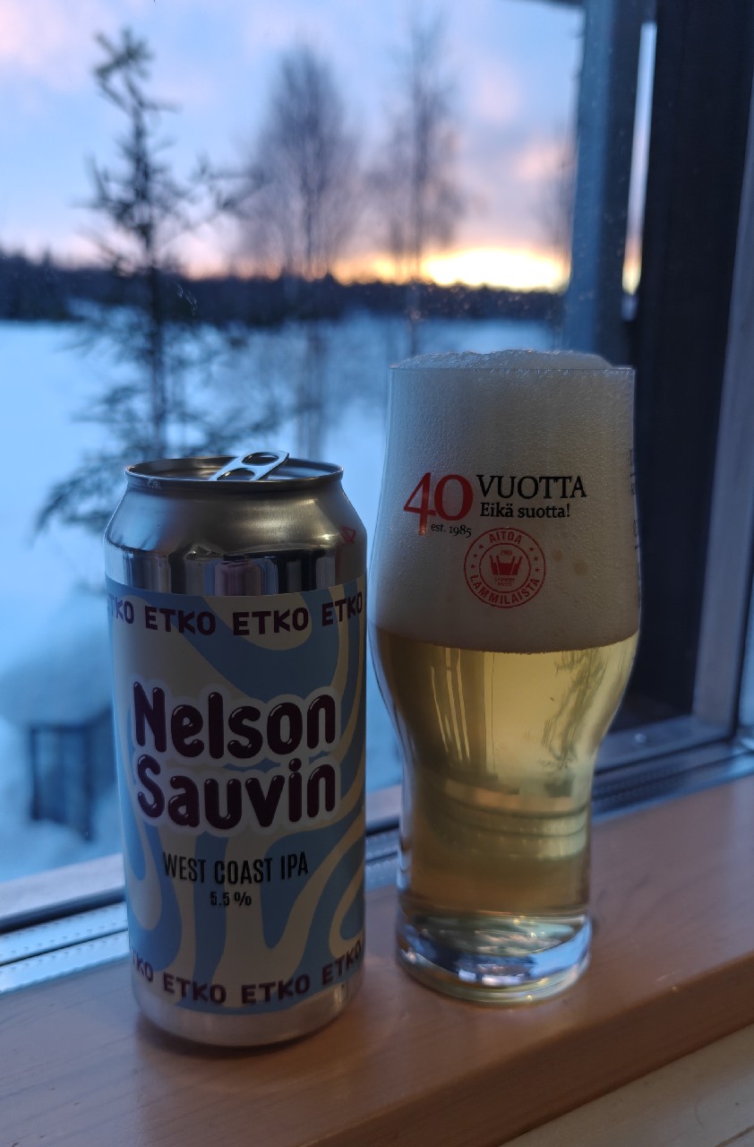 Nelson Sauvin, Finland