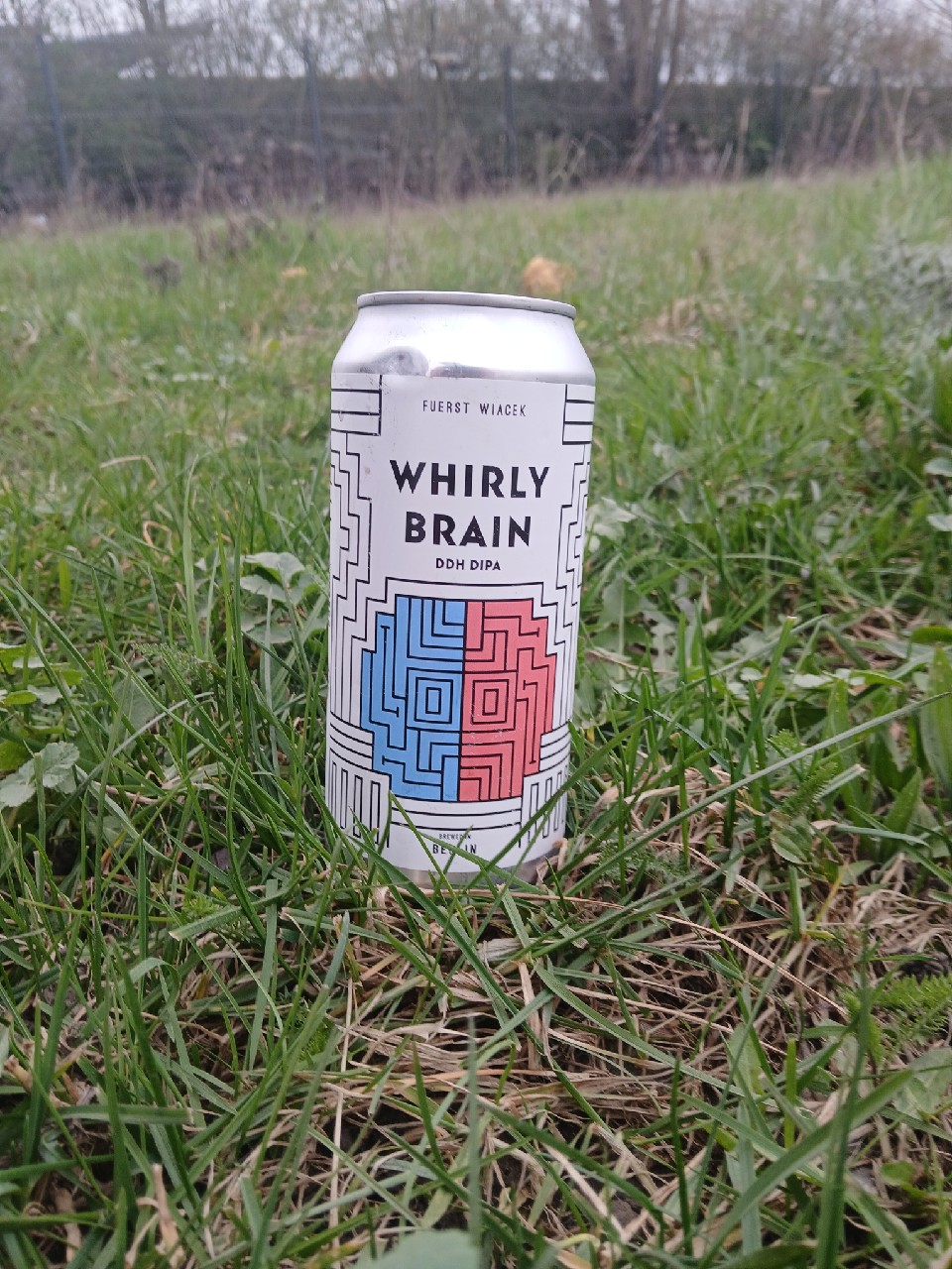 Whirly Brain, Germany