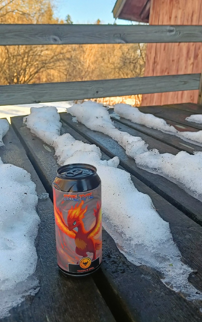 Fire Type, Game Over Brewing Co.