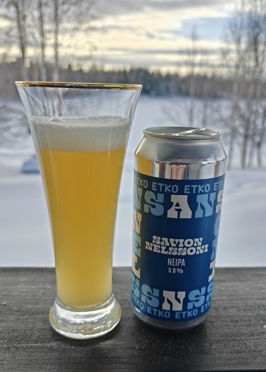 Savion Nelssoni, Finland