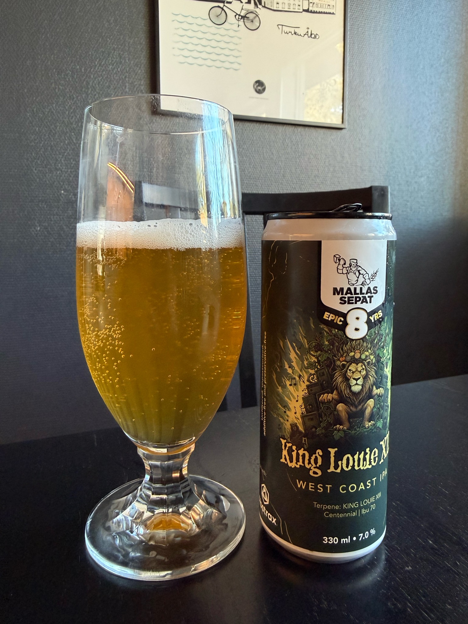 8 Epic Years: King Louie XIII, Finland