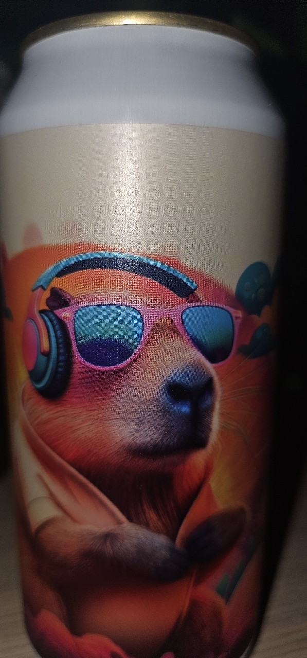 Capyfication, Brygghus 19