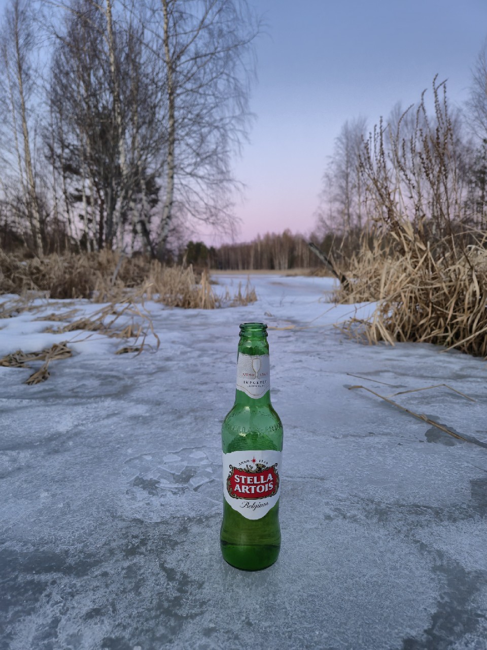 Stella Artois, Belgium