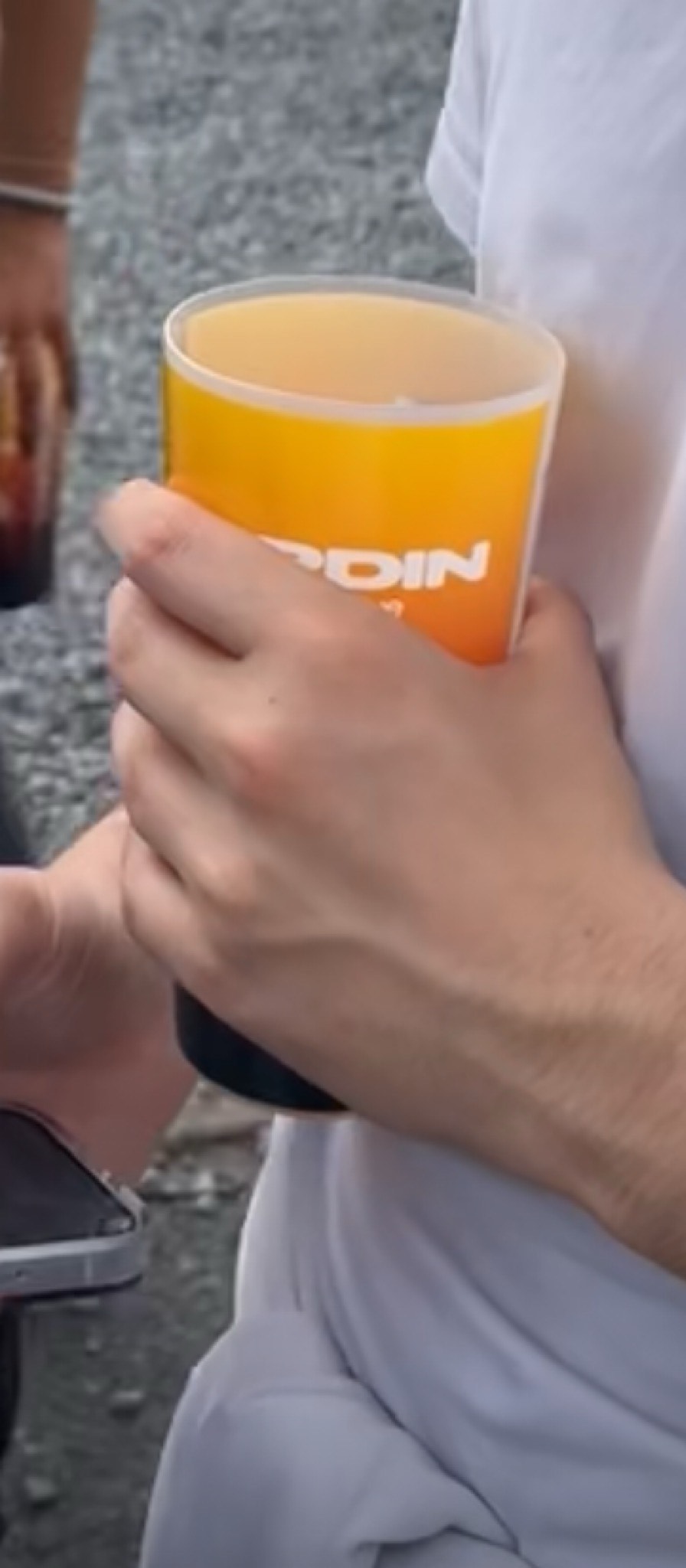 Camille, Brasserie Des Canailles