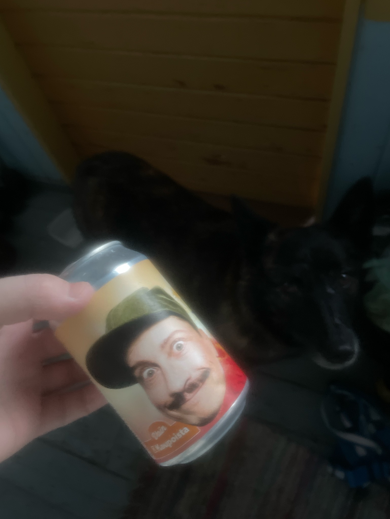 Lepoloma IPA, Finland