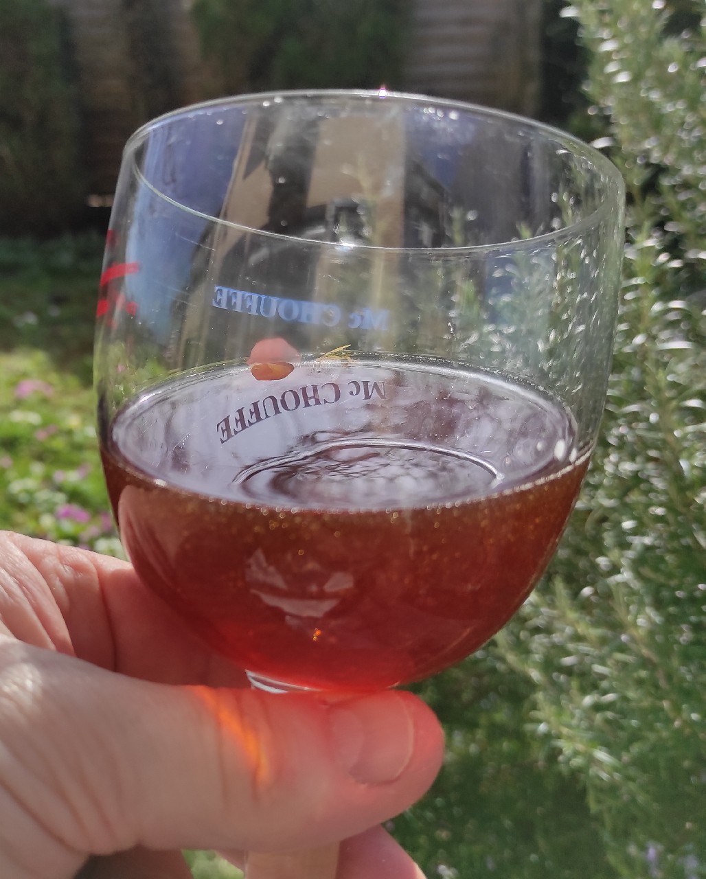 Lady Highland, Les 3 Brasseurs / The 3 Brewers Lille