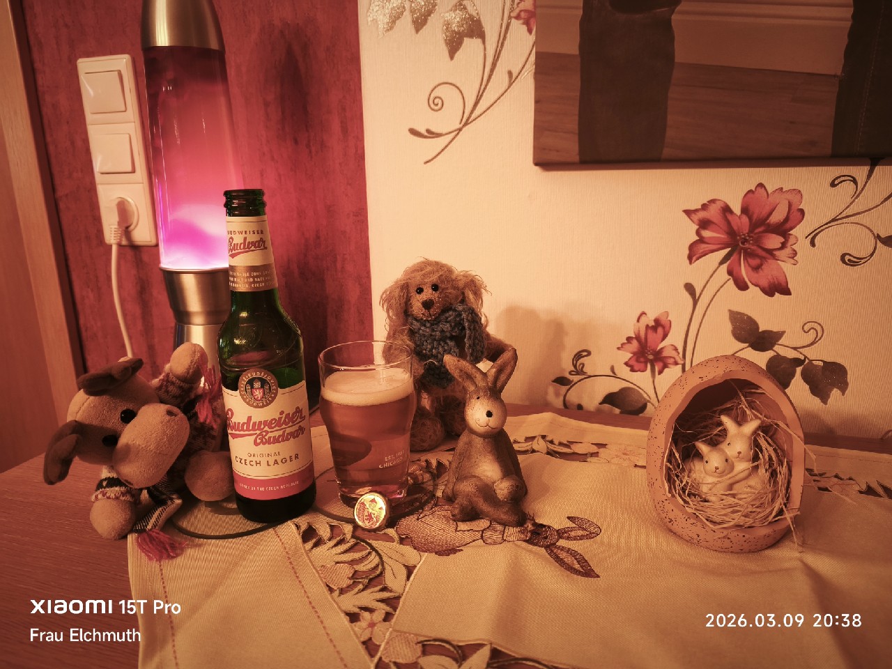 Budweiser Budvar / Czechvar B: Original, Budějovický Budvar