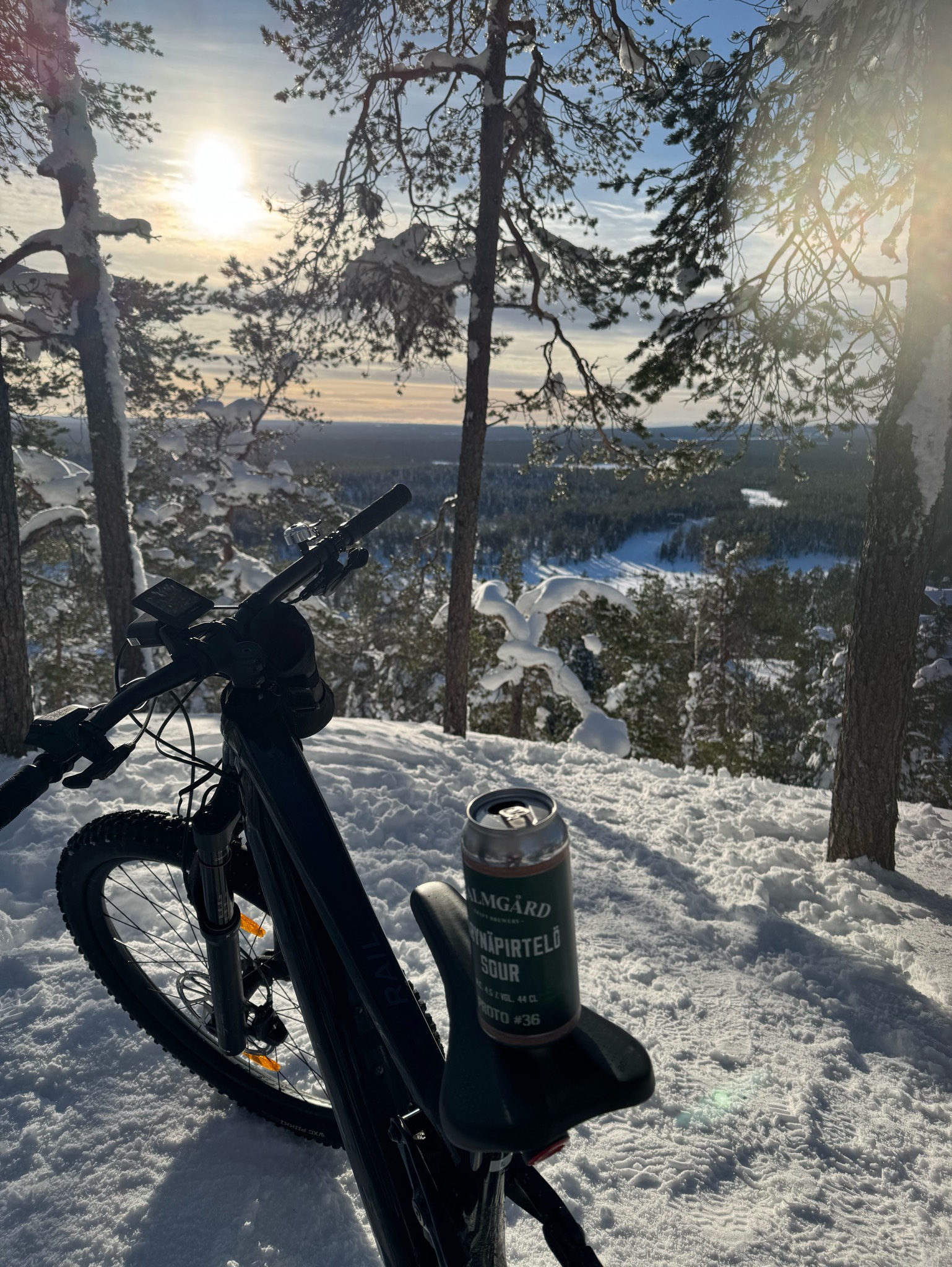 Proto #36 Päärynäpirtelö Sour, Finland