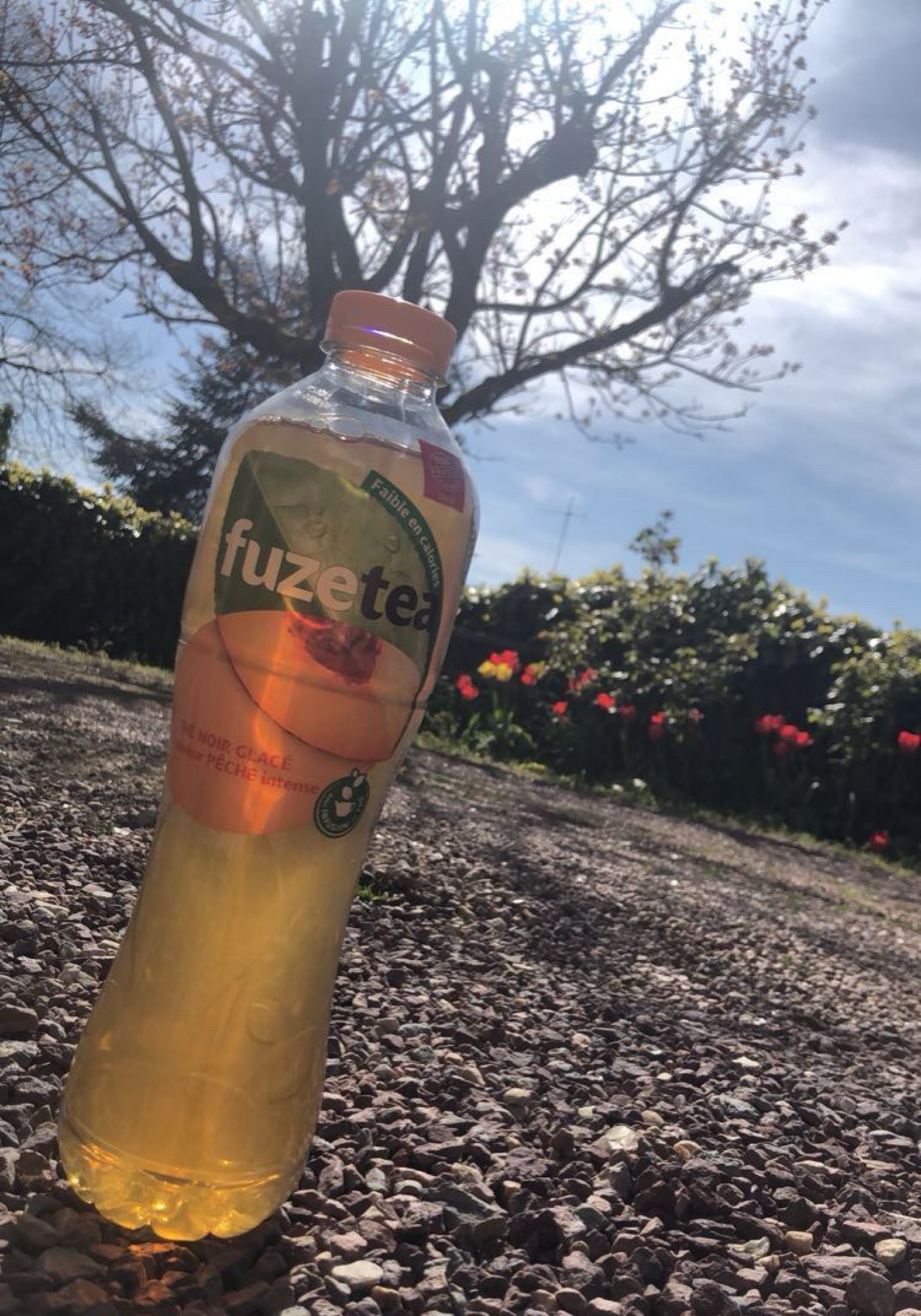 Pêche / Pêcheresse, Belgium