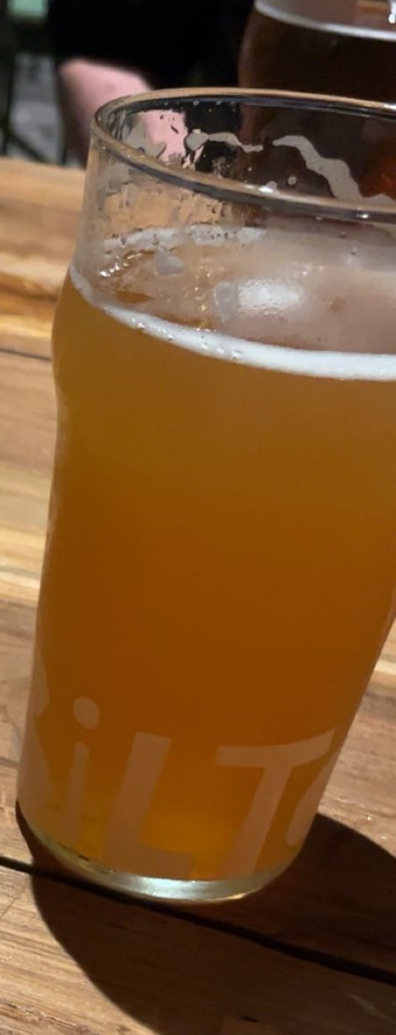 Lagunitas IPA, United States