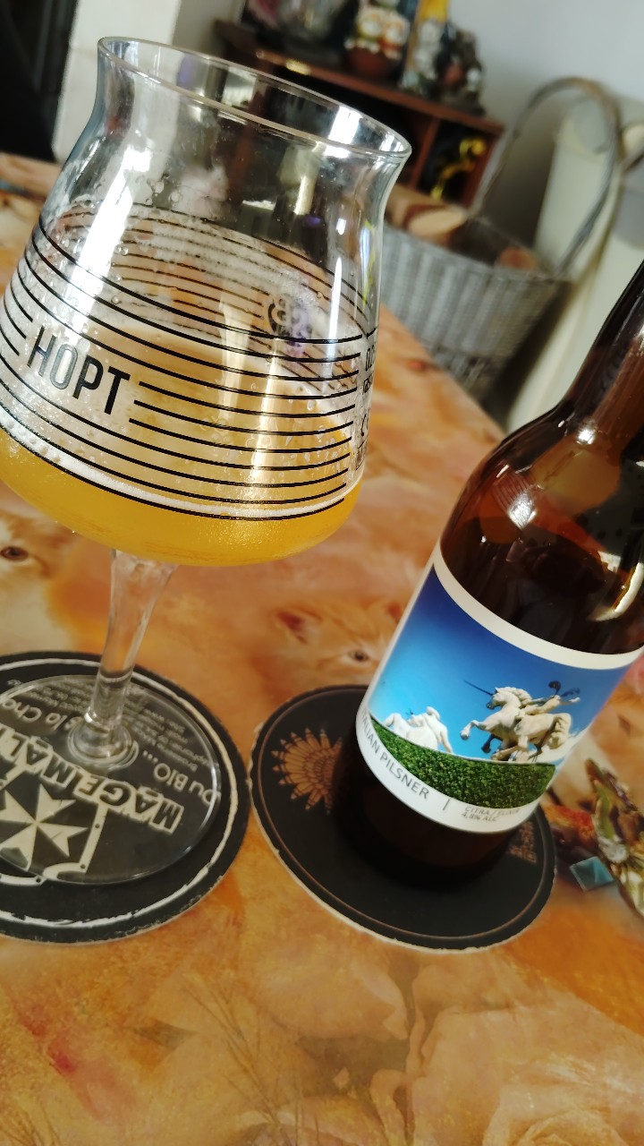 Italian Pilsner Citra / Elixir, France