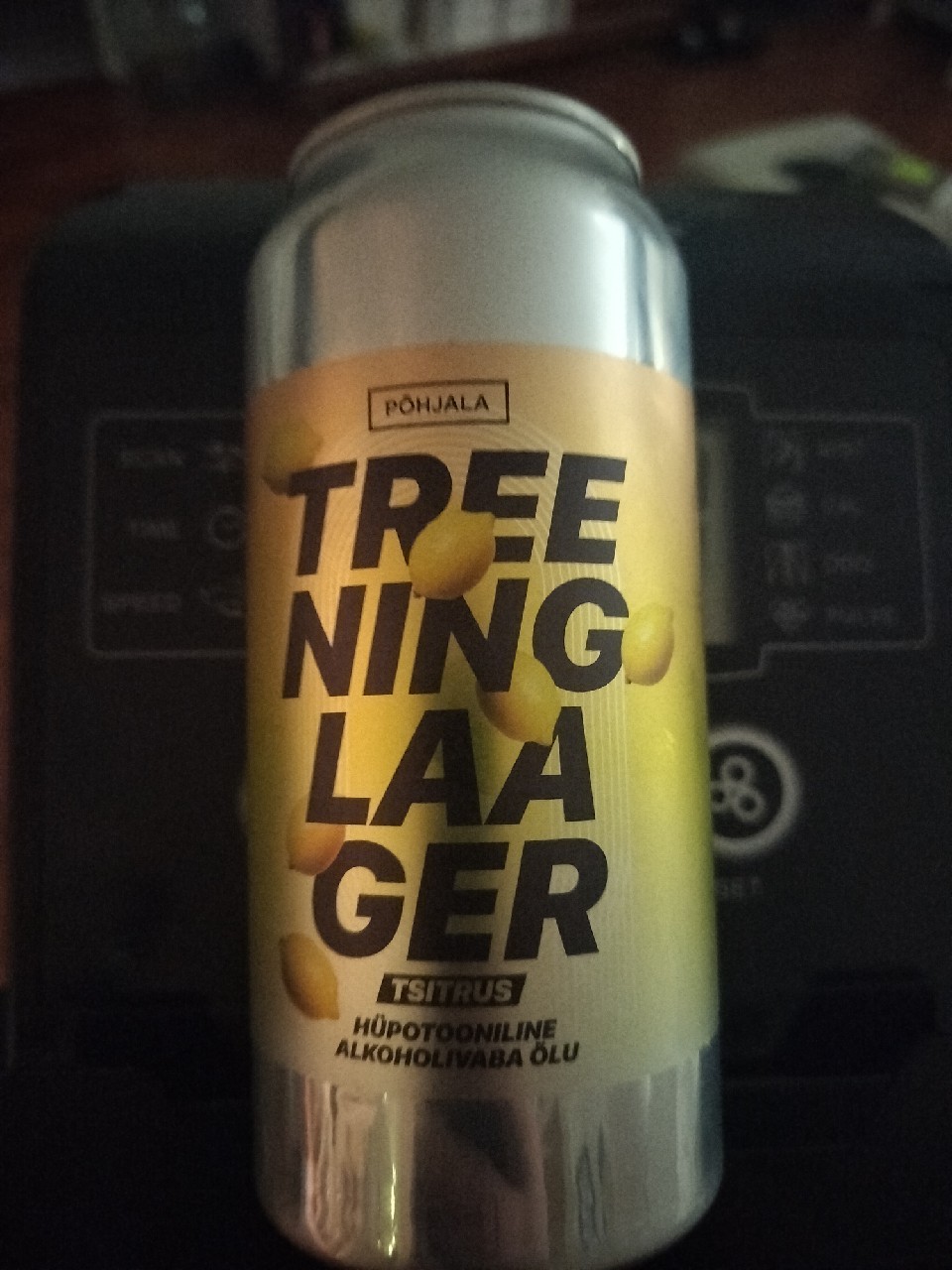 Treeninglaager, Estonia