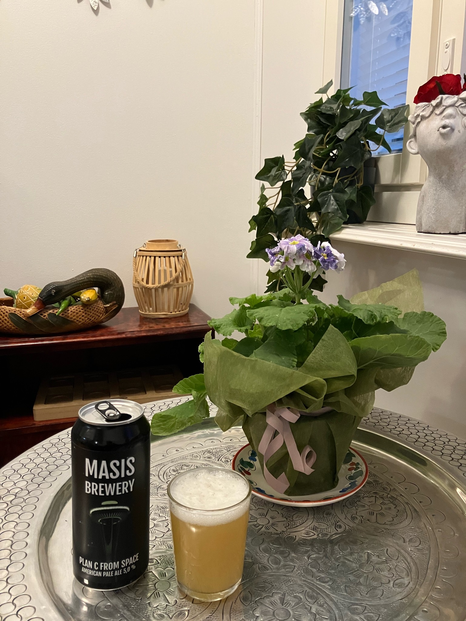 Plan C from Space, Finland