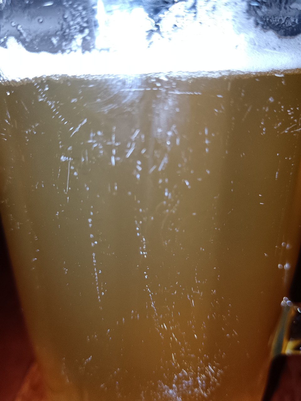 Saaz Who?, Mad Hopper Brewing Co.