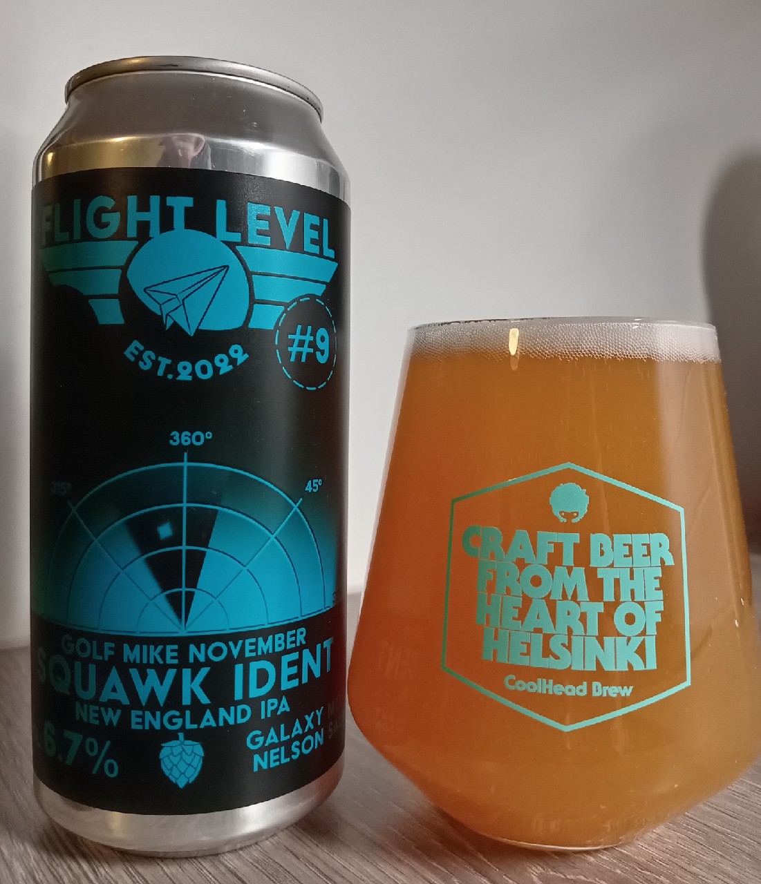 Golf Mike November Squawk Ident, Finland