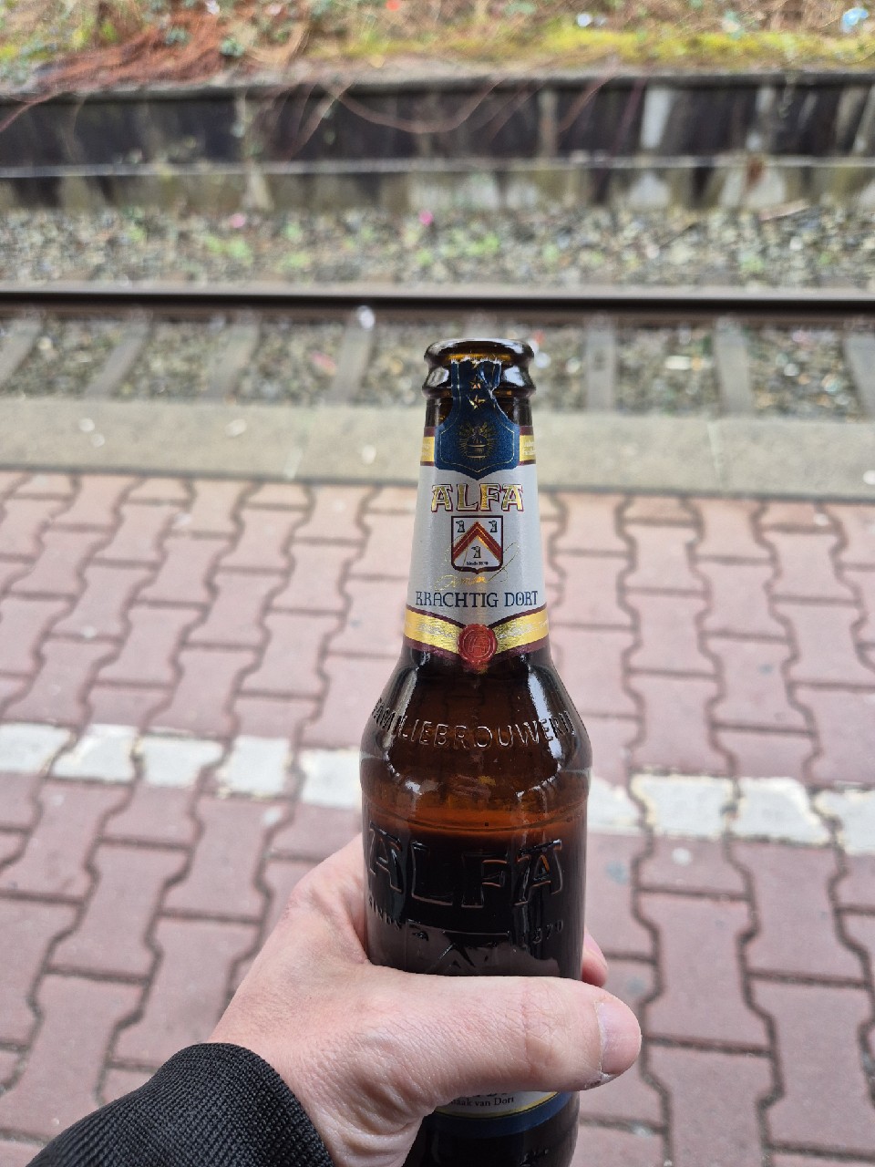 Krachtig Dort, Alfa Brouwerij