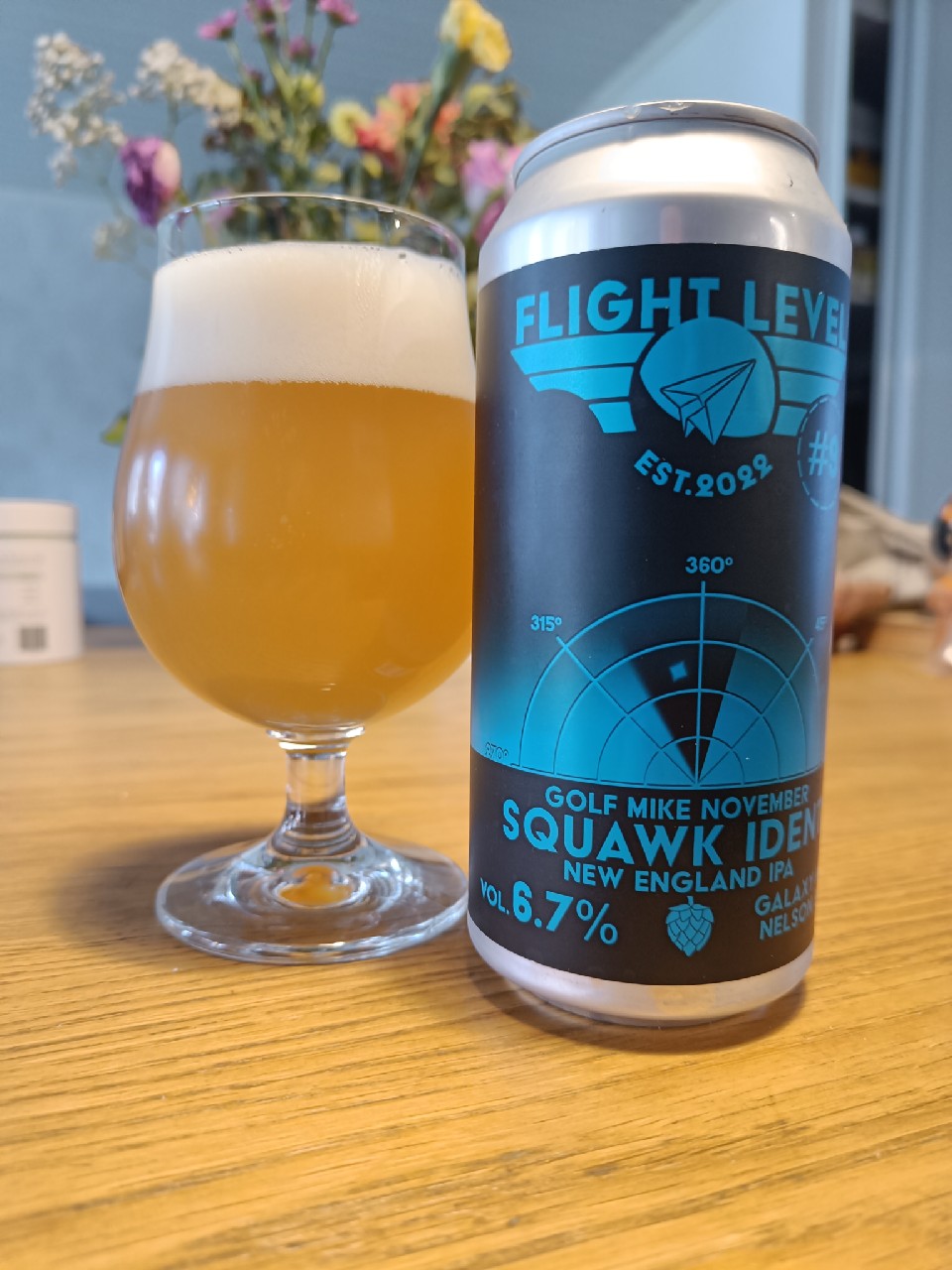 Golf Mike November Squawk Ident, Finland