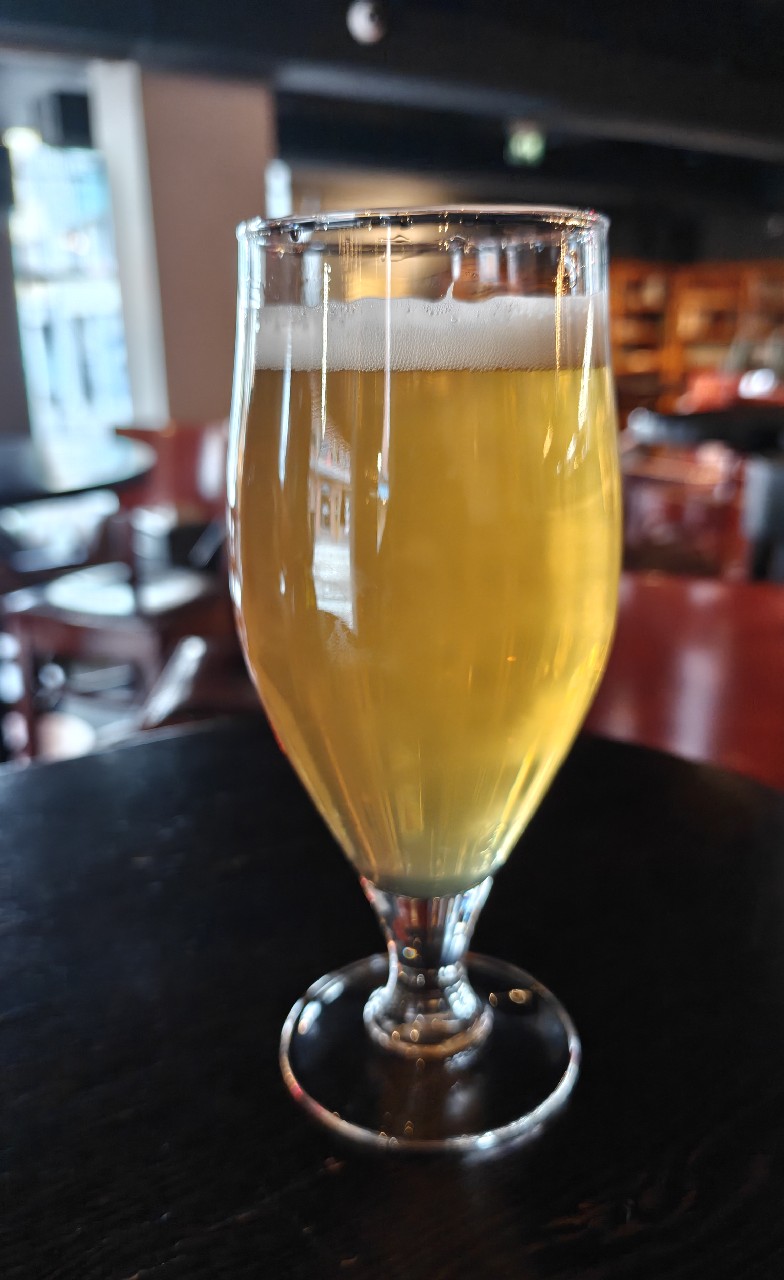 Bird Of Prey, Netherlands