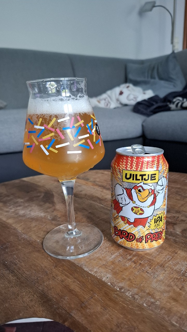 Bird Of Prey, Netherlands