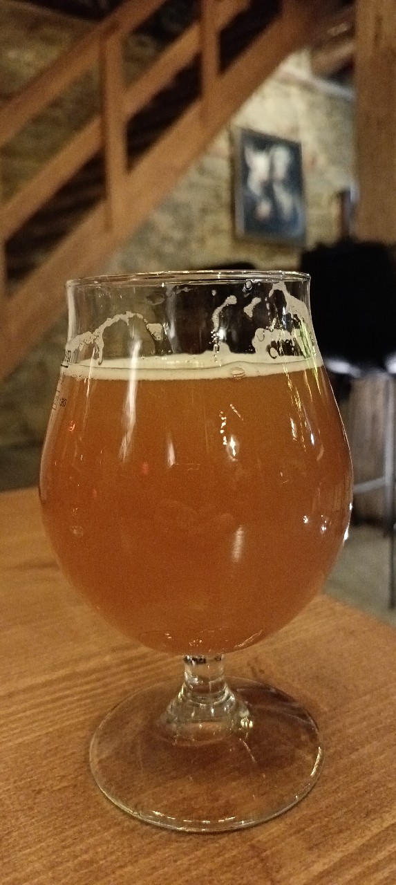 Anarkist, Theodor Schiøtz Brewing Company